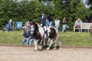 Bild 52 - Pony Akademie Turnier